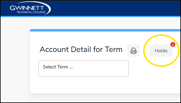account detail HOLDS 1.png